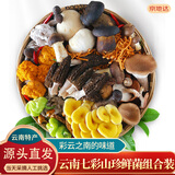 京地达云南特产新鲜菌类净重1斤7彩鲜菌组合装新多种鲜菌菇源头直发包邮