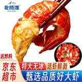 北极滩特大龙虾尾冷冻生鲜大特湖北海鲜虾类麻辣虾球烧烤食材年货 【特大无冰】净重2斤 送秘料 约90尾/斤