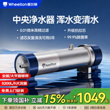 惠尔顿中央净水器全屋净水系统家用自来水农村井水前置过滤器管道超滤机水塔外压大流量不锈钢小区商用 全屋/大平层够用UF4