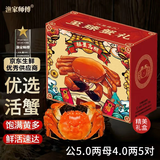 【活蟹】漁家师傅优选大闸蟹公5-5.3两母4-4.3两5对10只 螃蟹鲜活生鲜现货水产海鲜礼盒