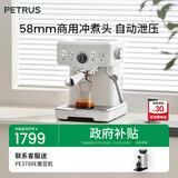 柏翠(petrus)【政府补贴】咖啡机意式浓缩家用小型半自动蒸汽打奶泡PE3833 海盐小方