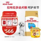 皇家狗粮 拉布拉多幼犬狗粮 宠物大型犬 ALR33 全价犬粮 2-15月 12KG