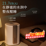 小熊（Bear） 落地式家用加湿器5升大容量大雾量高挑美观便捷手提式上加水轻音加湿器旋钮款银离子净化大水箱 【无雾智能恒湿 银离子抑菌】H40W6