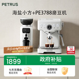 柏翠(petrus) 咖啡机意式浓缩家用小型半自动蒸汽打奶泡 海盐小方PE3833+PE3788