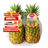 佳农 菲律宾进口菠萝 2个装 凤梨 单果净重2斤 生鲜水果源头直发 包邮