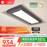 米家智能晾衣机Pro 【国家补贴】小米电动晾衣架超薄嵌入隐藏遥控升降