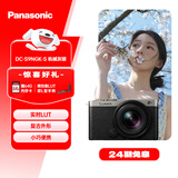 松下S9（18-40mm F4.5-6.3）套机 （Panasonic）全画幅微单 实时Lut 滤镜直出 连接app极速分享-灰银
