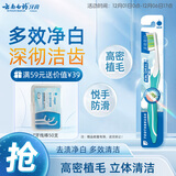 云南白药基础系列多效净白软毛牙刷 高密立体植毛多面清洁 成人 单支装