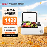 英得尔 T12车载冰箱压缩机制冷小冰箱车家两用APP控温户外迷你冰箱