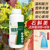 花来美石斛营养液铁皮石斛专用肥料防黄叶石斛兰石橄榄盆栽生根发芽壮苗 石斛石斛兰营养液*1瓶养护精选