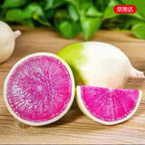 京地达山东心里美萝卜现挖发货净重3斤单果200g+新鲜萝卜源头直发包邮