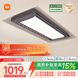 米家智能晾衣机Pro 【国家补贴】小米电动晾衣架超薄嵌入隐藏遥控升降