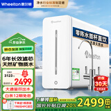 惠尔顿（WHEELTON）净水器家用厨下直饮水等效1000G大通量净饮机反渗透母婴纳滤矿物质水双出水净水机 YK8 矿物质水直饮机 直饮矿物质水