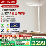 UNDER SKY 天空见【国家补贴】大路灯护眼灯落地灯上出光控轴立式护眼灯C2 米家APP