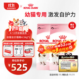 皇家猫粮 幼猫猫粮 幼猫奶糕 K36 通用粮 4-12月 4.5KG*2