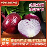 滇鲜生水果紫皮洋葱新鲜甜味生吃小洋葱头大葱头蔬菜葱甜脆多汁 新鲜紫皮洋葱*1个【尝鲜装】