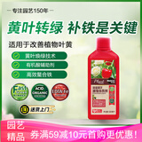 美乐棵园艺植物补铁剂花肥肥料改善叶黄植物营养液500ML