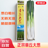 京地达正宗山东章丘大葱7斤礼盒 精选切叶蔬菜地方特产源头直发包邮