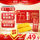 十月稻田 五常黄糯玉米 3.52斤(220g*8根) 东北玉米棒 早餐零食 杂粮礼盒