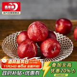 青苹果玻璃果盘轻奢家用客厅装饰婚庆零食水果沙拉碗10.3英寸