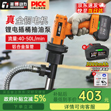 澎博动力（TURBOVOLT）电动抽油泵21v抽水泵抽液泵柴油泵抽油神器锂电池 EPMa10