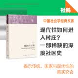 社区的历程：溪村汉人家族的个案研究
