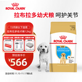 皇家狗粮 拉布拉多幼犬狗粮 宠物大型犬 ALR33 全价犬粮 2-15月 12KG
