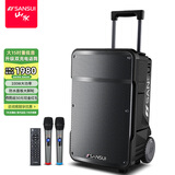 山水（SANSUI）A15 户外K歌专用重低音广场舞音响便携智能音箱多媒体会议带麦克风15吋电木吉他民谣乐器音箱