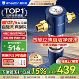 惠尔顿（WHEELTON）前置过滤器反冲洗防爆12T全屋净水器家用大流量自动刮洗清洗滤网防爆抗冻自来水管过滤器p0038pro 上门安装【无需更换滤芯】
