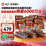 晓芹 大连冷冻即食海参500g 7-9只 辽刺参 海鲜水产