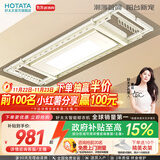 好太太（Hotata） 电动晾衣架智能自动升降晒被阳台晾衣架室外衣服架伸缩晾衣杆 D-3082T：超薄大屏+语音+奶油风