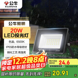 公牛（BULL）LED投光灯户外庭院工厂园林灯露营灯 IP65防水等级20W-6500K白光