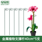 绿园匠植物防倒伏支架绣球吊兰金属支撑杆园艺固定架爬藤月季花卉花架