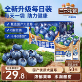 三只松鼠每日蓝莓干256g/16包 无添加水果干果脯小包装儿童老人办公室零食