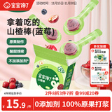 宝宝馋了山楂棒儿童零食棒棒糖型原果制作水果条无添加香精蓝莓味72g