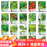 花沃里 20款蔬菜种子 萝卜种子白菜朝天椒菠菜番茄香菜四季油麦生菜种籽