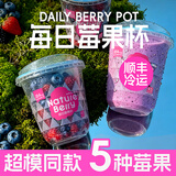 素坊每日莓果 冷冻混合草莓树莓新鲜蓝莓鲜果黑莓速冻水果冰冻浆果 【新品尝鲜】冷冻莓果杯125g*5杯