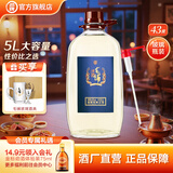 劲牌长寿酒人参酒桶装蛹虫草黄精酒家庭口粮酒节日送礼礼品 43度 5L 1桶 毛铺荞酒