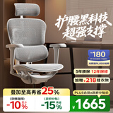 Ergonor保友金豪b雄鹰 人体工学椅 电脑椅 电竞椅办公椅子可躺老板椅 【金豪b雄鹰X】银白网