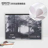 国誉(KOKUYO)A3图画本学生绘画笔记本子Campus胶装本绘图本素描本 50张1本 WCN-PG7051N