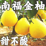 柚满园【纯甜不酸】梅州沙田柚子南福金柚正宗特产甜碌柚新鲜水果广东 有斑日灼果带箱9-10斤（实惠款）