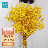 匠心绽放满天星花束天然干花永生花插花客厅高级家居软装饰摆件黄色20275