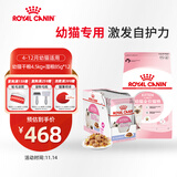 皇家幼猫 干湿搭配   K36 4.5KG+ KJP 85G*12