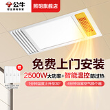 公牛（BULL）风暖浴霸300x600式照明吹风排气多功能一体卫生间集成吊顶浴室灯 送免费安装 取暖+照明+换气+吹风 免费上门安装收到货后请联系客服