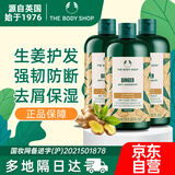 美体小铺（The Body Shop）生姜洗发水400ml*3洗头膏去屑控油防脱英国进口