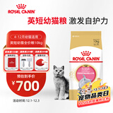 皇家猫粮 英短幼猫粮 BSK38 4-12月 10KG