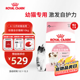 皇家幼猫猫粮 幼猫奶糕 K36 通用粮 4-12月 10KG