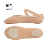艾舞戈专业舞蹈鞋女软底练功鞋弹力芭蕾舞鞋教师猫爪鞋 驼色  38码