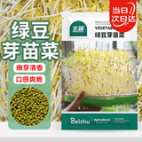北蔬 绿豆芽苗菜种子种苗家庭水培无土栽培菜种籽 绿豆芽苗菜种子200g