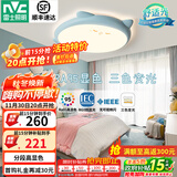 雷士（NVC）LED护眼卧室吸顶灯三色调光灯具灯饰卡通龙猫造型儿童房 36W 【RA95显指】龙猫蓝 三段